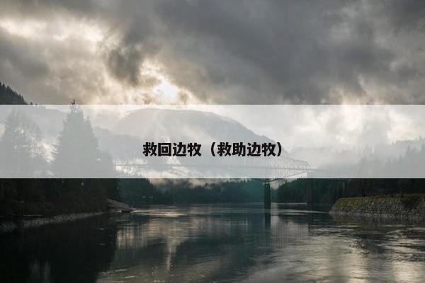 救回边牧（救助边牧）