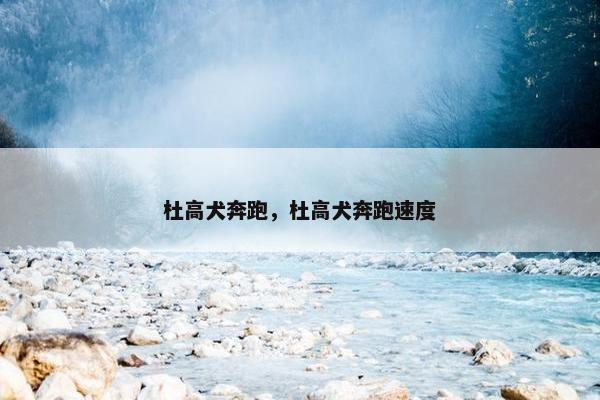 杜高犬奔跑，杜高犬奔跑速度