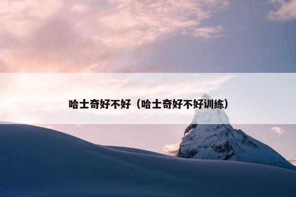 哈士奇好不好（哈士奇好不好训练）