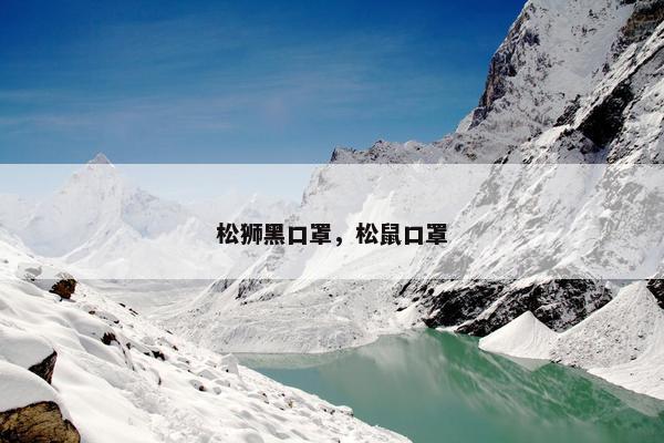 松狮黑口罩，松鼠口罩