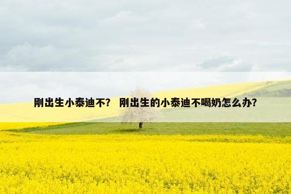 刚出生小泰迪不？ 刚出生的小泰迪不喝奶怎么办？