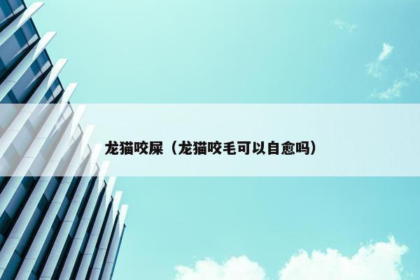 龙猫咬屎（龙猫咬毛可以自愈吗）