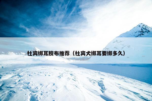 杜宾绑耳胶布推荐（杜宾犬绑耳要绑多久）