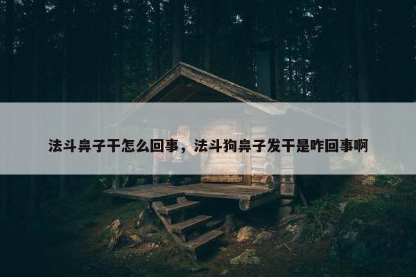 法斗鼻子干怎么回事，法斗狗鼻子发干是咋回事啊