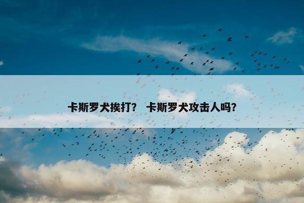 卡斯罗犬挨打？ 卡斯罗犬攻击人吗？