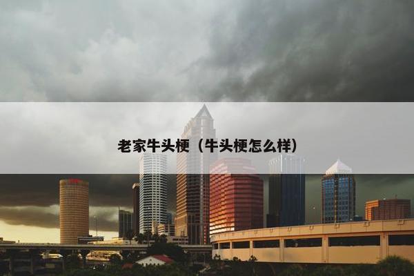 老家牛头梗（牛头梗怎么样）