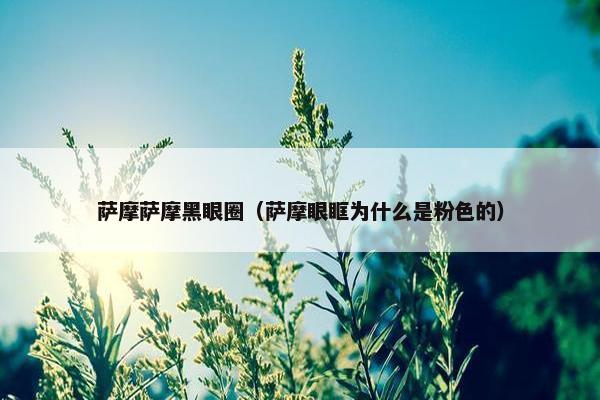 萨摩萨摩黑眼圈（萨摩眼眶为什么是粉色的）
