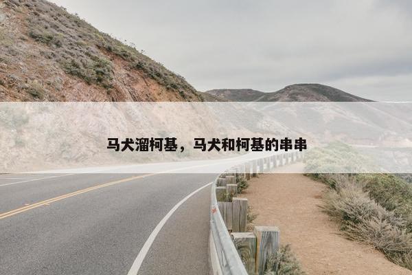 马犬溜柯基，马犬和柯基的串串