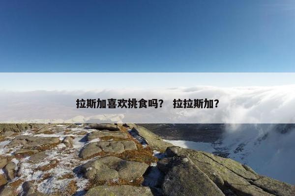 拉斯加喜欢挑食吗？ 拉拉斯加？