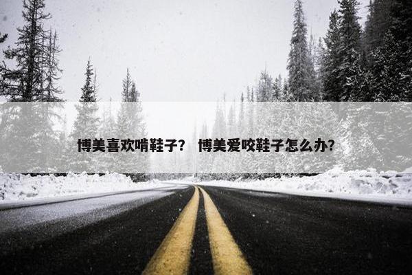 博美喜欢啃鞋子？ 博美爱咬鞋子怎么办？