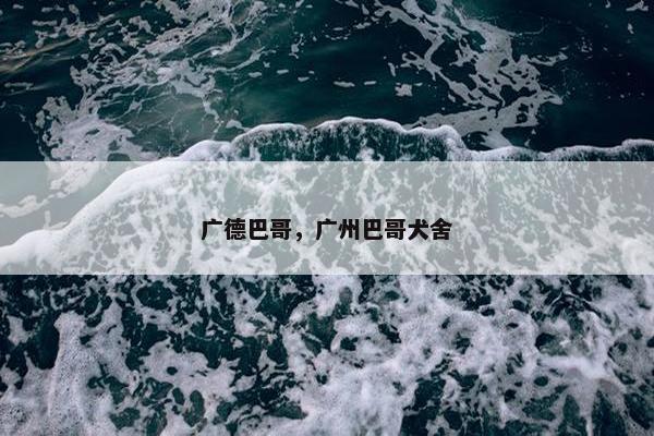 广德巴哥，广州巴哥犬舍