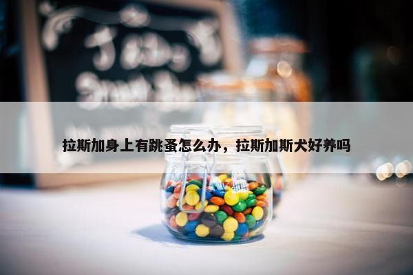 拉斯加身上有跳蚤怎么办，拉斯加斯犬好养吗