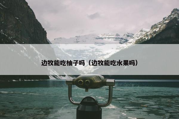 边牧能吃柚子吗（边牧能吃水果吗）