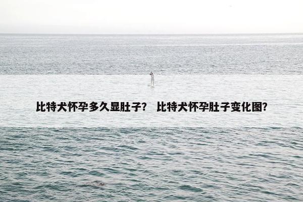 比特犬怀孕多久显肚子？ 比特犬怀孕肚子变化图？