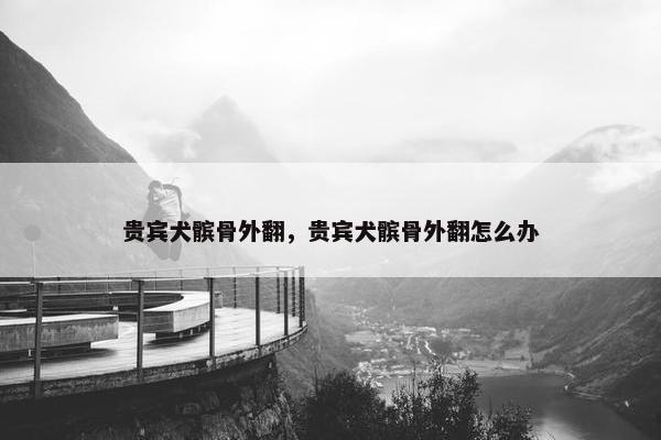 贵宾犬髌骨外翻，贵宾犬髌骨外翻怎么办