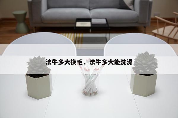 法牛多大换毛，法牛多大能洗澡