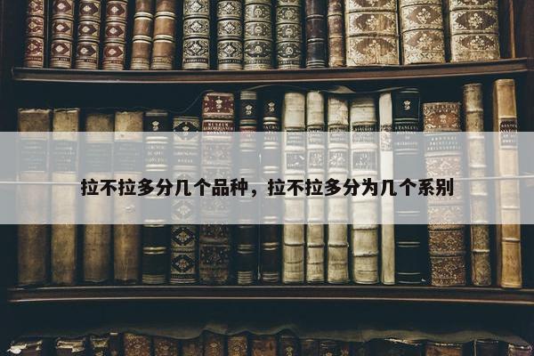 拉不拉多分几个品种，拉不拉多分为几个系别