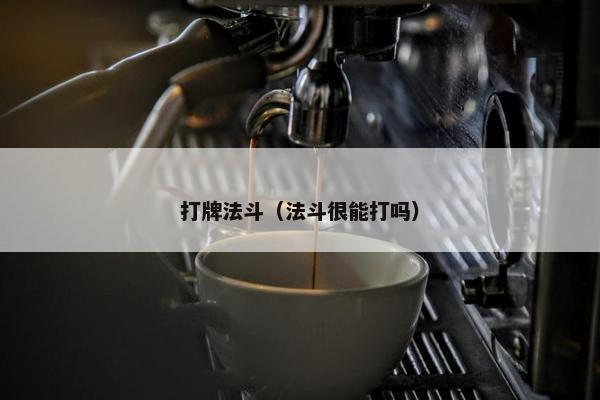 打牌法斗（法斗很能打吗）