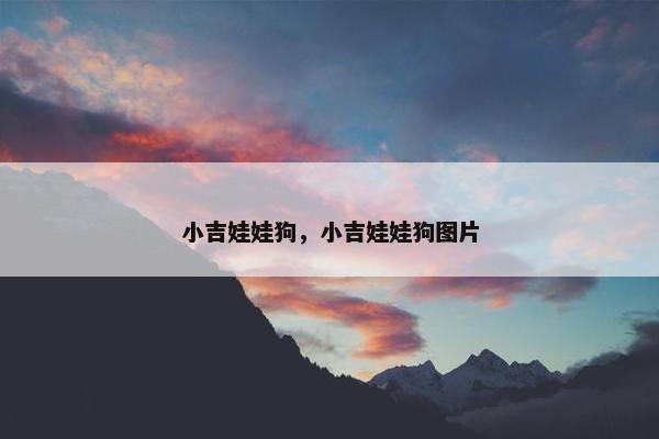 小吉娃娃狗，小吉娃娃狗图片