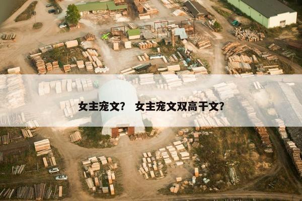 女主宠文？ 女主宠文双高干文？