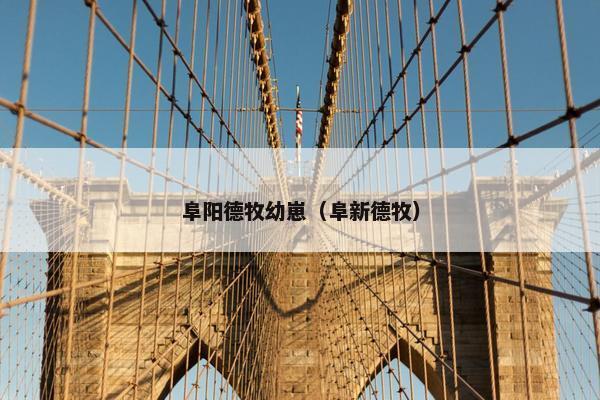 阜阳德牧幼崽（阜新德牧）
