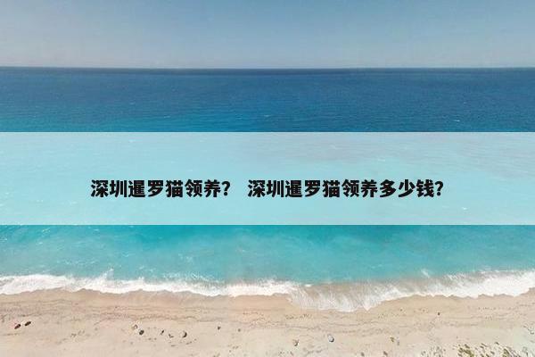 深圳暹罗猫领养？ 深圳暹罗猫领养多少钱？