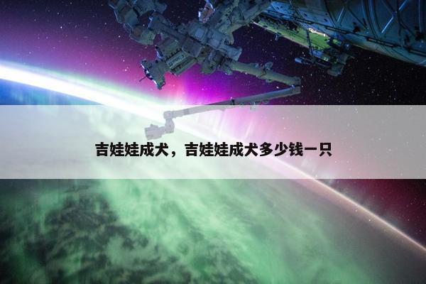 吉娃娃成犬，吉娃娃成犬多少钱一只