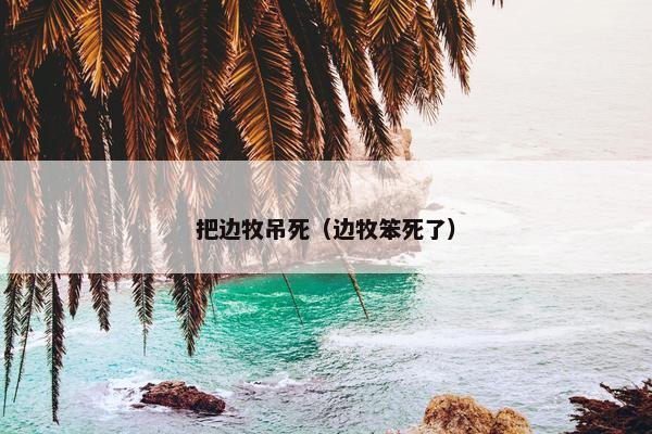 把边牧吊死（边牧笨死了）