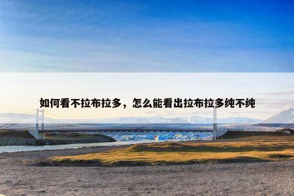 如何看不拉布拉多，怎么能看出拉布拉多纯不纯