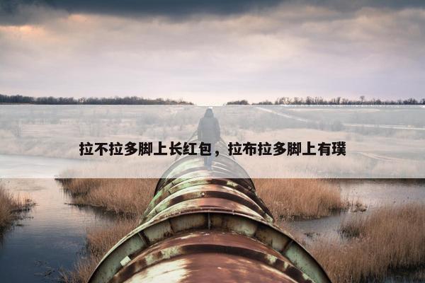 拉不拉多脚上长红包，拉布拉多脚上有璞
