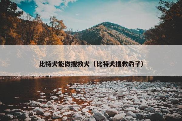 比特犬能做搜救犬（比特犬搜救豹子）