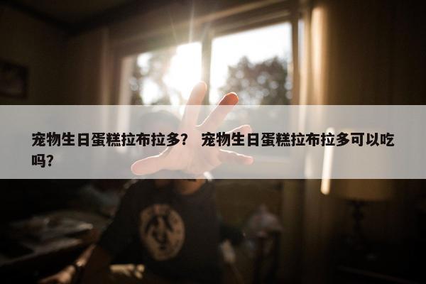 宠物生日蛋糕拉布拉多？ 宠物生日蛋糕拉布拉多可以吃吗？