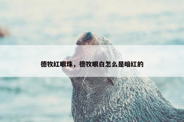 德牧红眼珠，德牧眼白怎么是暗红的