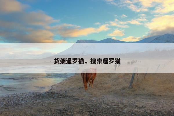 货架暹罗猫，搜索暹罗猫