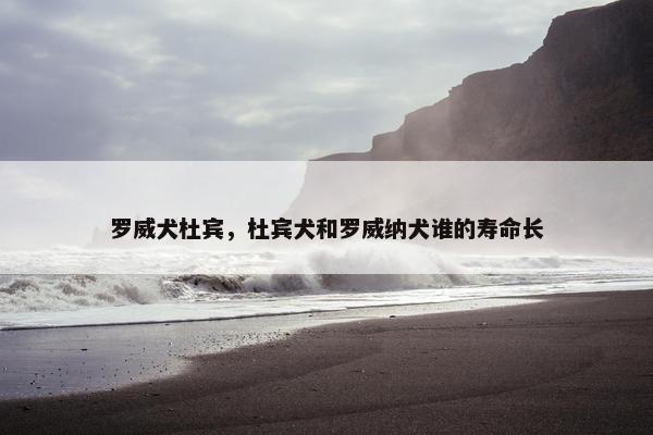 罗威犬杜宾，杜宾犬和罗威纳犬谁的寿命长