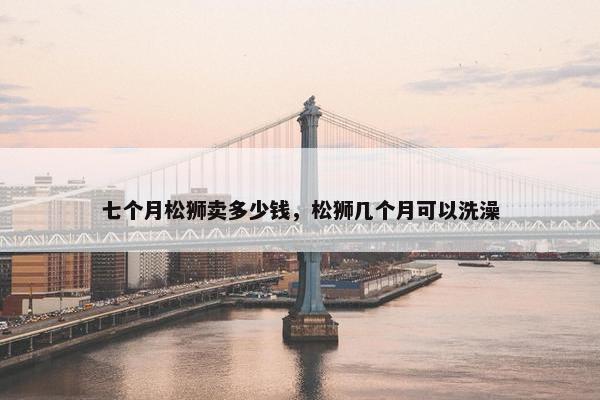 七个月松狮卖多少钱，松狮几个月可以洗澡