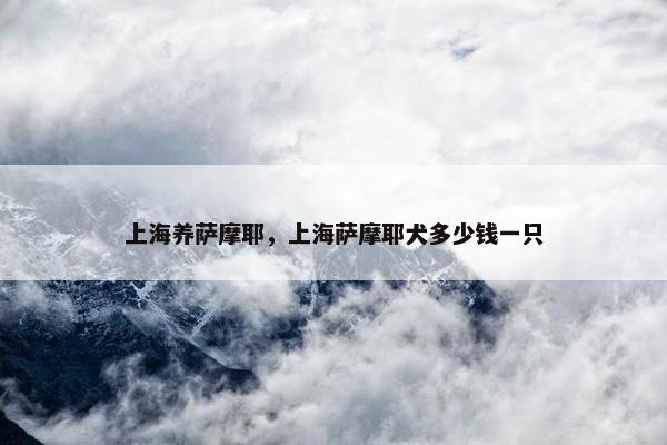 上海养萨摩耶，上海萨摩耶犬多少钱一只