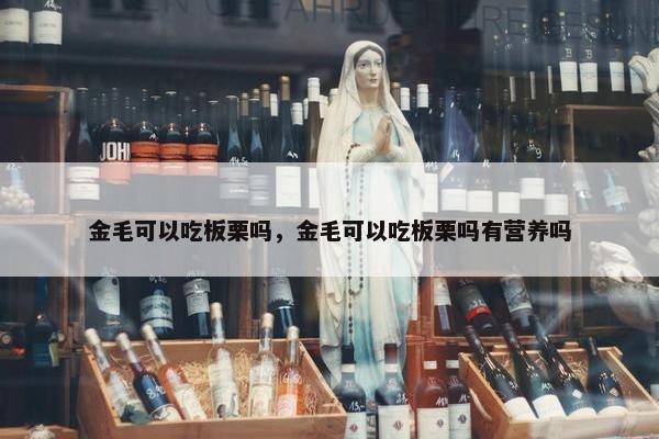 金毛可以吃板栗吗，金毛可以吃板栗吗有营养吗