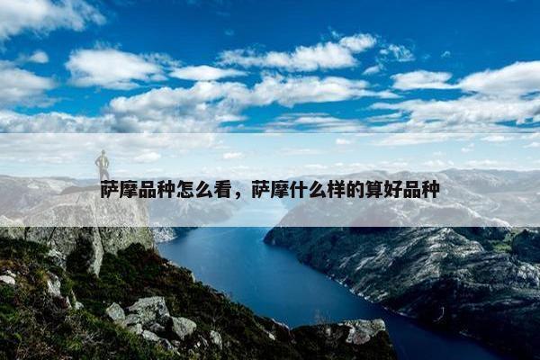 萨摩品种怎么看，萨摩什么样的算好品种