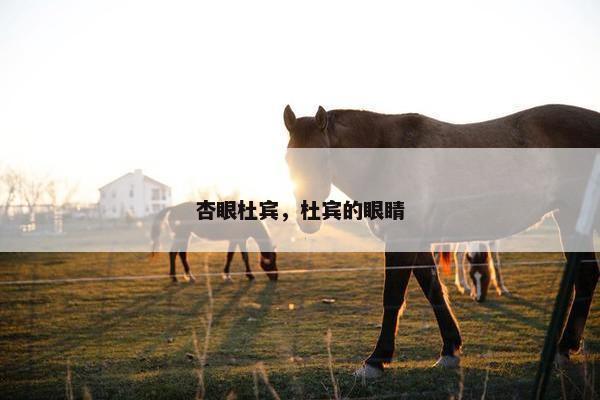 杏眼杜宾，杜宾的眼睛