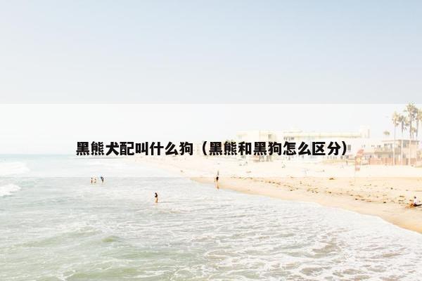 黑熊犬配叫什么狗（黑熊和黑狗怎么区分）