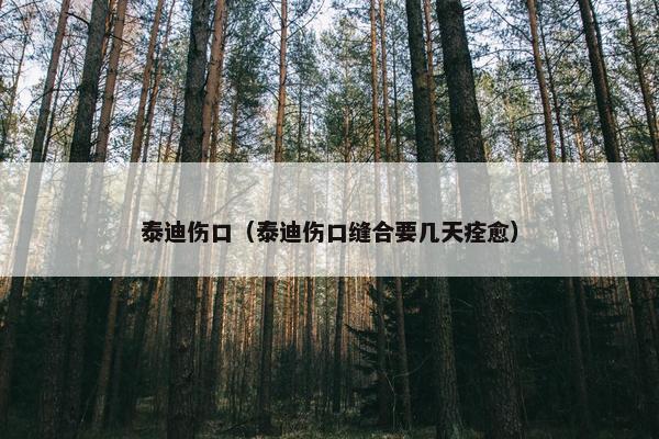 泰迪伤口（泰迪伤口缝合要几天痊愈）