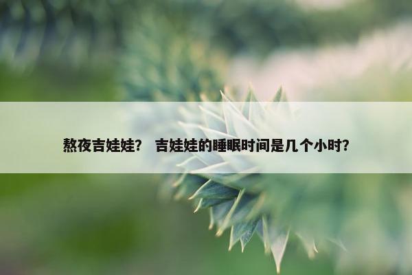 熬夜吉娃娃？ 吉娃娃的睡眠时间是几个小时？