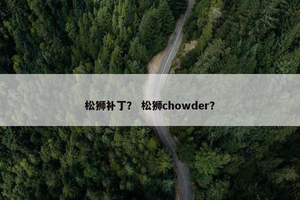 松狮补丁？ 松狮chowder？