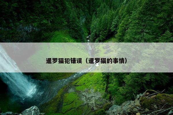 暹罗猫犯错误（暹罗猫的事情）
