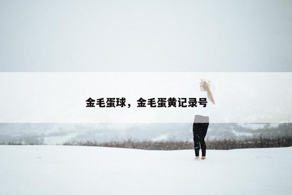 金毛蛋球，金毛蛋黄记录号