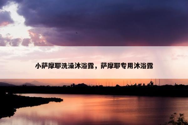 小萨摩耶洗澡沐浴露，萨摩耶专用沐浴露