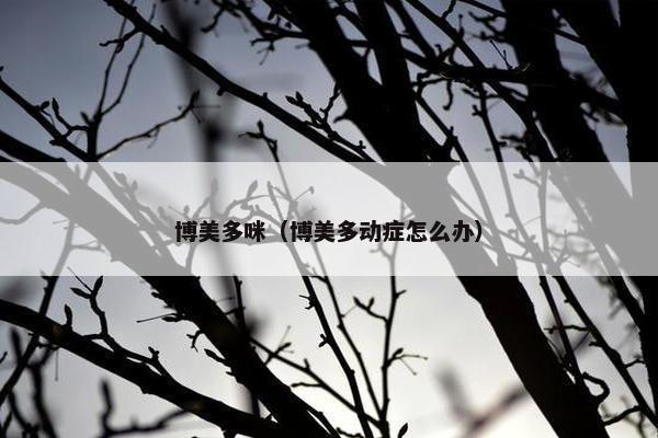 博美多咪（博美多动症怎么办）