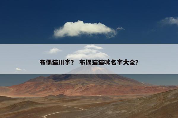 布偶猫川字？ 布偶猫猫咪名字大全？