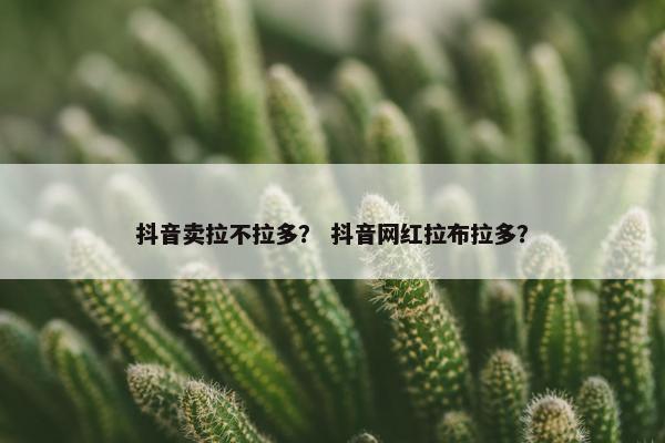 抖音卖拉不拉多？ 抖音网红拉布拉多？